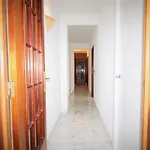 Apartman Estella